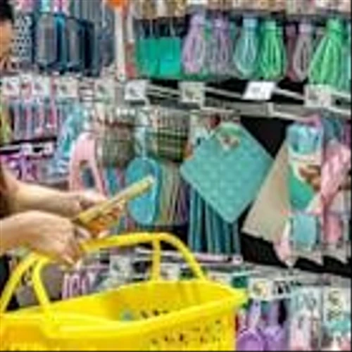 Did Store Remodels and Raised Guidance Just Shift Dollar General's (DG) Investment Narrative?
