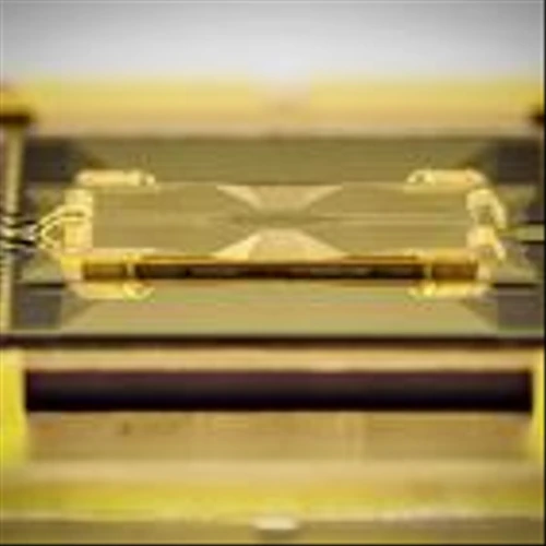 IonQ Achieves Technical Milestone One Year Ahead of Schedule