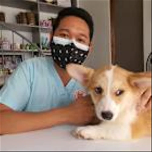 Zoetis Inc. (ZTS): A Bull Case Theory