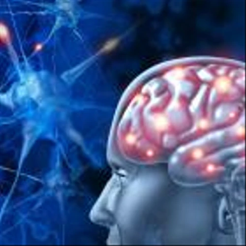 Longeveron’s Phase IIa Alzheimer’s therapy trial meets efficacy endpoints