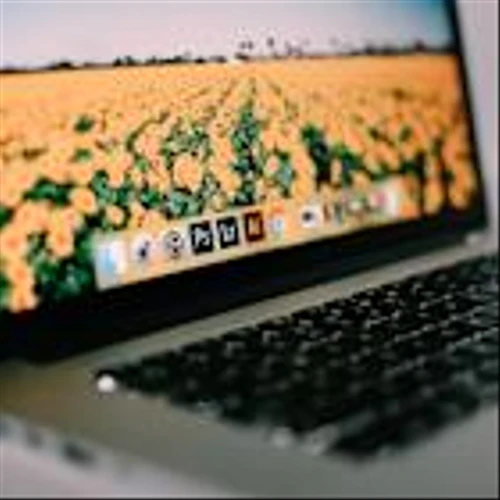 Adobe Inc. (ADBE): A Bull Case Theory