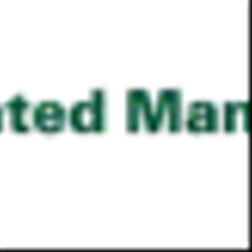 Affiliated Managers Group Inc (AMG) Q4 2024 Earnings Call Highlights: Record Earnings Amidst ...