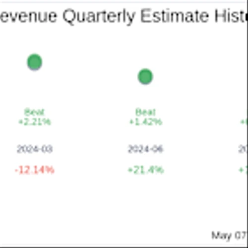 What To Expect From DocGo Inc (DCGO) Q1 2025 Earnings