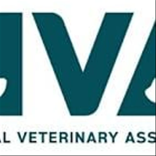 National Veterinary Associates Appoints Leslie Storms as President, Ethos Veterinary Health