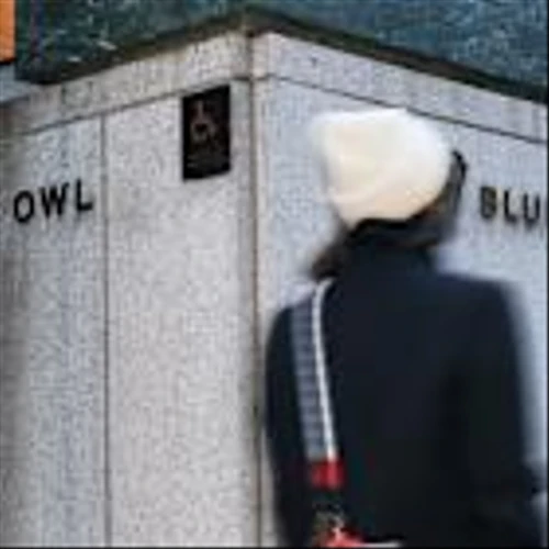 Private Markets’ AI Panic: When ‘Recurring Revenue’ Isn’t