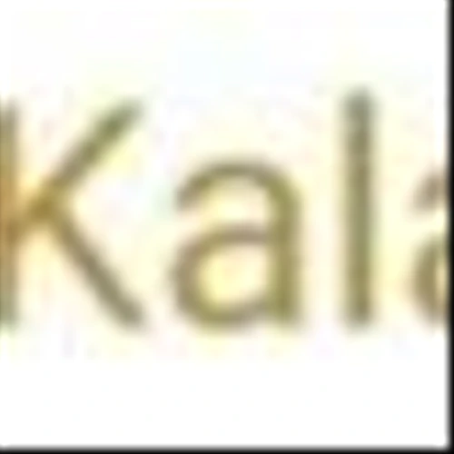 Kalaris Expands Board of Directors Appointing Leone Patterson as Chair of Audit Committee