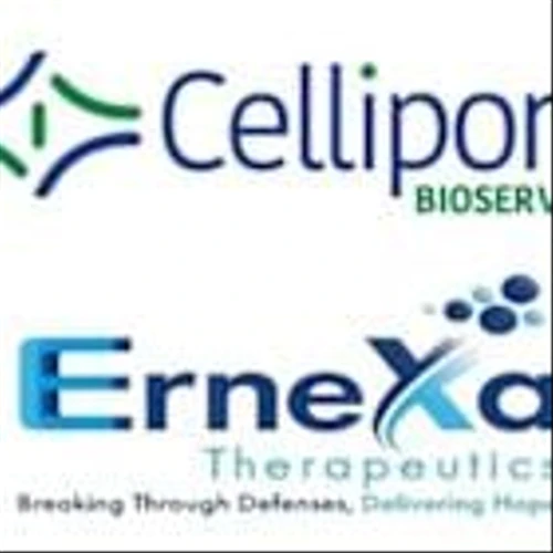 /C O R R E C T I O N -- Cellipont Bioservices/