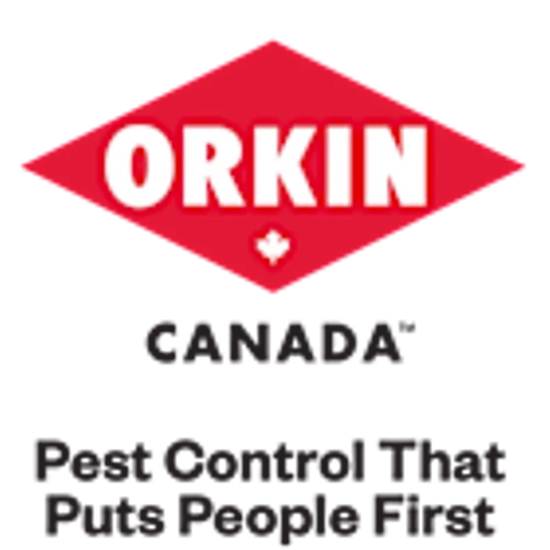 Rodents on the run: Orkin Canada releases 2025 list of Rattiest Cities