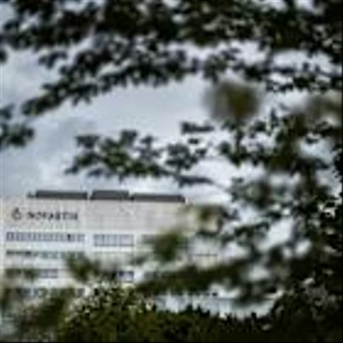 Novartis chief eyes ways to end higher US drug prices: media