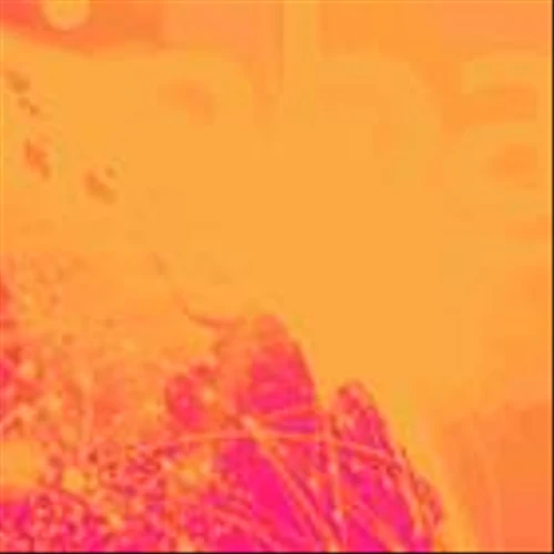 2 Volatile Stocks with Impressive Fundamentals and 1 Facing Headwinds