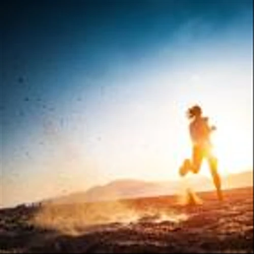 On Holding Runs To Record High, Cools Off. Ready To Sprint Again?