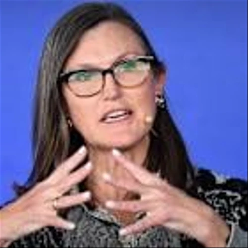 Cathie Wood keeps low profile in 2026