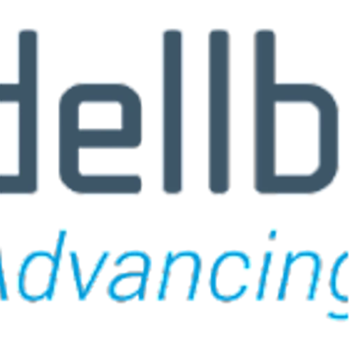 LyondellBasell Industries NV (LYB) Q1 2025 Earnings Call Highlights: Navigating Challenges and ...