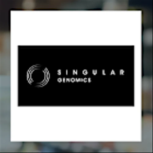 Ambev Q4 Earnings Call Highlights