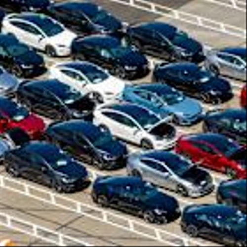 Stocks to Watch Recap: Alphabet, Tesla, Netflix, Zymeworks