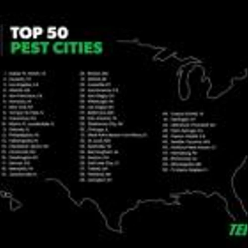 Pest Capital USA: Terminix Unveils the Top Cities for Commercial Pest Infestations