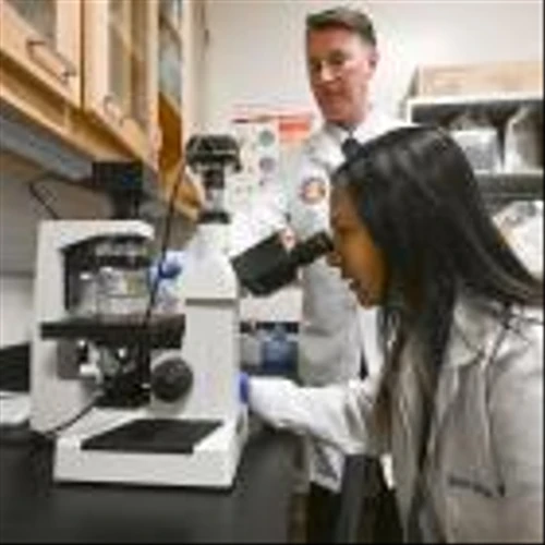 Trickle-down effect of NIH funding battle worries healthcare analysts and medical experts