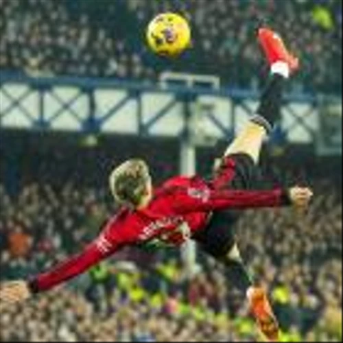 Stocks to Watch Tuesday: Manchester United, Gracell, Rayzebio, Intel, Apple