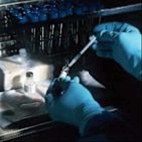 Compass Therapeutics, Inc. (CMPX): A Bull Case Theory