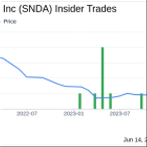 Insider Buying: President & CEO Brandon Ribar Acquires Shares of Sonida Senior Living Inc (SNDA)