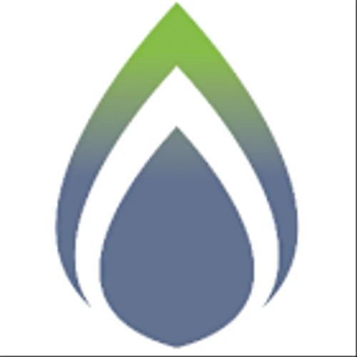 ClearSign Technologies Corp (CLIR) Q1 2025 Earnings Call Highlights: Navigating Challenges and ...