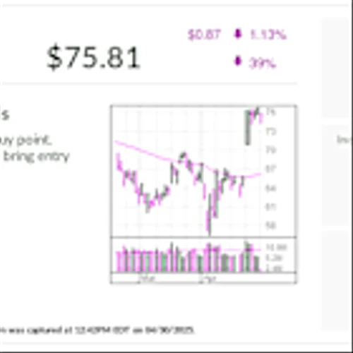 Stock Of The Day Crushes Estimates, Doesn't Fear Tariffs
