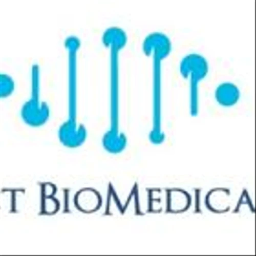 Impact BioMedical Inc. Issues Shareholder Letter Highlighting Recent Achievements and Strategic Vision