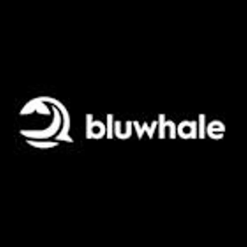Bluwhale Introduces Stablecoin Agent During Market Volatility