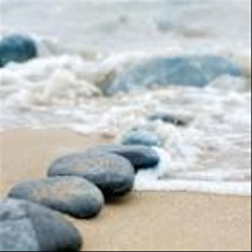 August: Time to Unplug from Markets?