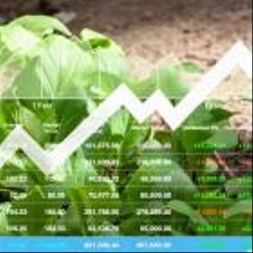 5 Small-Cap Stocks to Play the January Effect