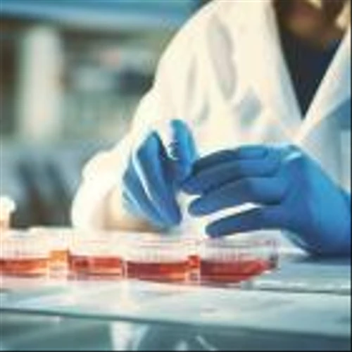 Biodesix, Inc. (BDSX): Among Penny Stocks with Insider Buying in 2025