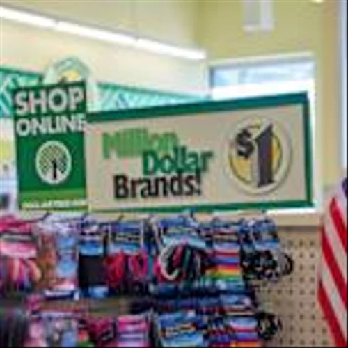 Should Investors Buy the Post-Earnings Dip in Dollar Tree Stock?