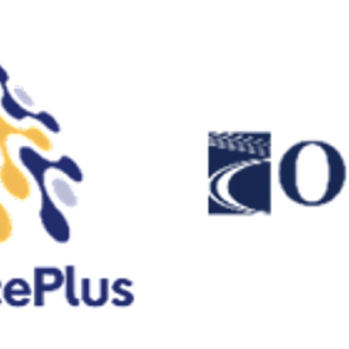 Oxbridge / SurancePlus Commences Strategic Review of Potential Digital Asset Treasury and SurancePlus Carve Out