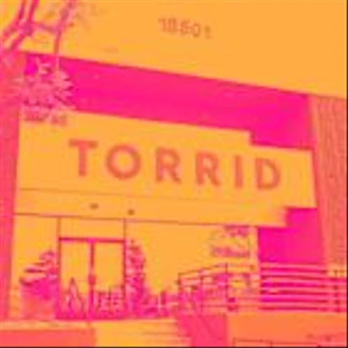 Why Torrid (CURV) Shares Are Falling Today