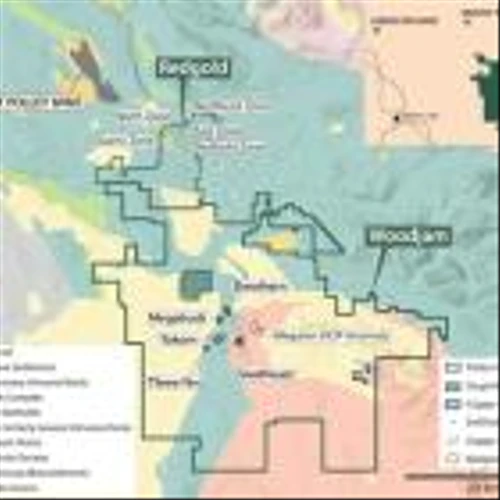 VIZSLA COPPER PROVIDES UPDATES ON WOODJAM COPPER-GOLD PROJECT EXPANSION
