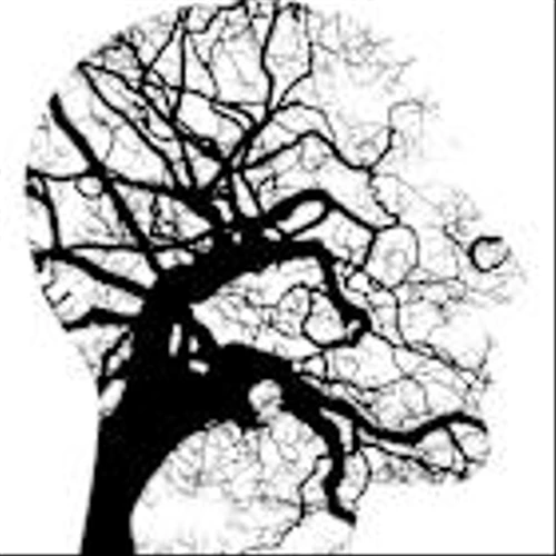 AtaiBeckley Inc (ATAI)’s Drug Candidate EMP-01 Shows Positive Results in Key Study