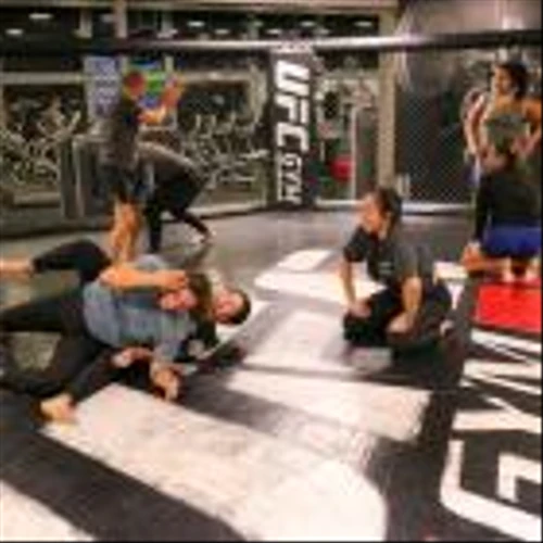 Alta Global Reports Surge in Demand for its 20-Week Warrior Training Programs at UFC Gyms