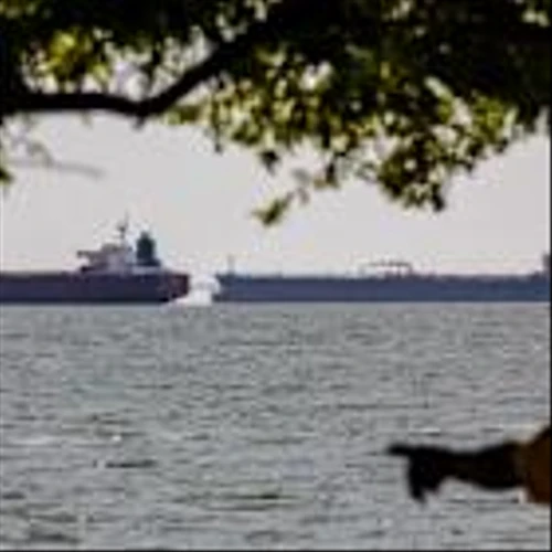 Oil Adds to Gains with Venezuela, Russia-Ukraine in Focus