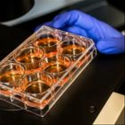 Certain Biotech Investors Get an Early Look at Results. Is That Fair?