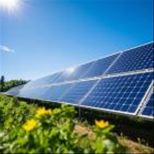 Is JinkoSolar Holding Co., Ltd. (JKS) the Best Solar Energy Stock to Buy According to Hedge Funds?