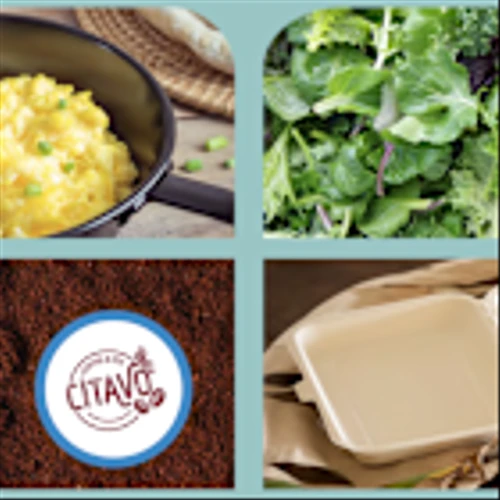 Sysco 2024 Sustainability Report: At the Heart of One Planet One Table