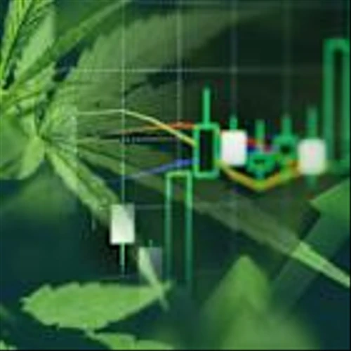 Cannabis Operator VFF Sells Fresh Produce Unit: How to Play the Stock?