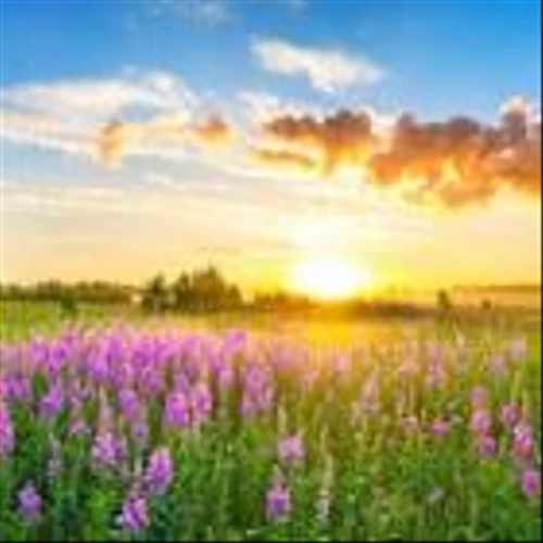 Assessing CECO Environmental (CECO) After Record $135m Emissions Deal and Growing Data Center Demand