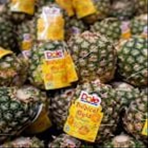 Dole expands use of recyclable Oxifilm in Central America
