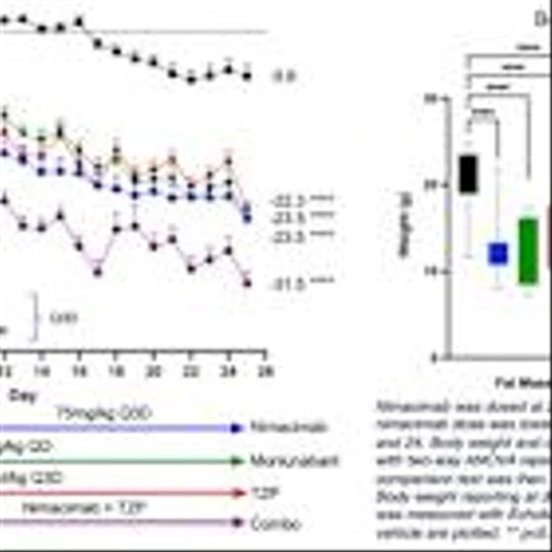Skye Bioscience Demonstrates Over 30% Weight Loss with Nimacimab and Tirzepatide Combination in Preclinical Model