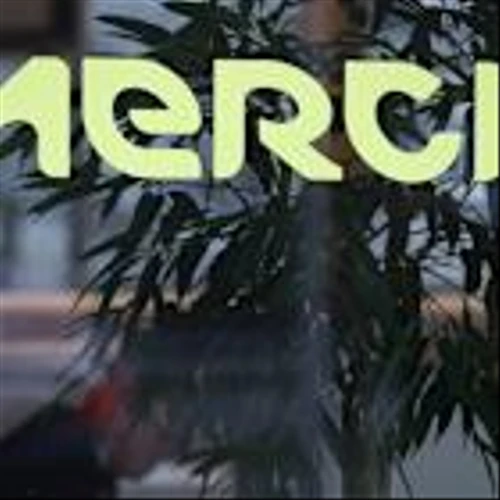 Germany’s Merck Raises Earnings Growth Guidance, But Turns Cautious on Sales