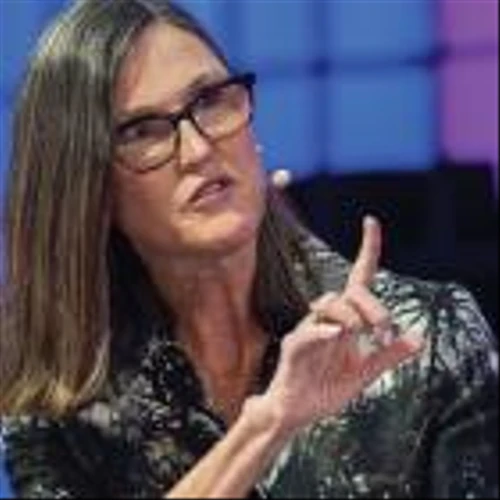 Analysts Agree These 8 Cathie Wood Stock Picks Will Soar In 2024