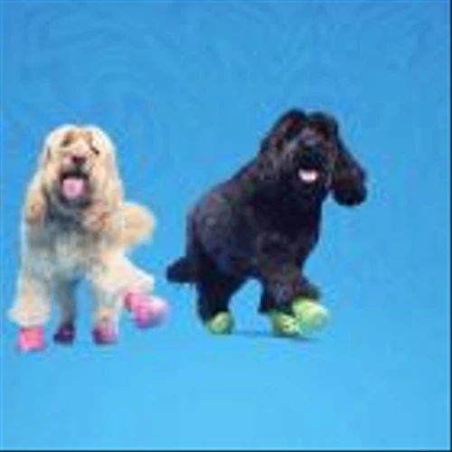 BARK and Crocs Unleash Highly Anticipated Crocs for Dogs