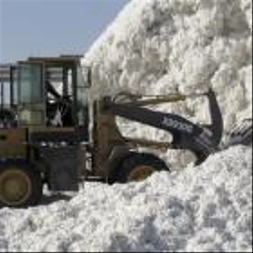 Banned Chinese cotton found in 19% of US and global retailers' merchandise, study shows