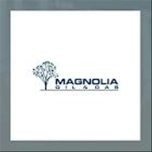 Magnolia Oil & Gas Q4 Earnings Call Highlights